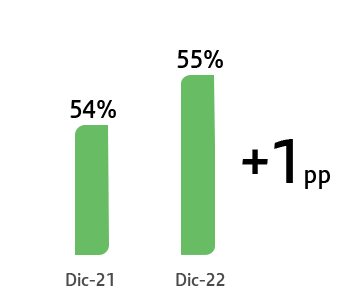 grafico4