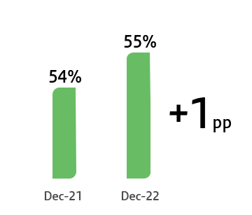 grafico4